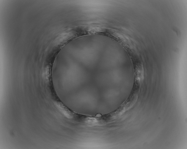 X0000112010519200908031309