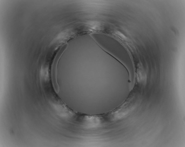 X0000112010520200908031309