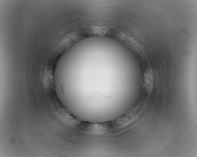 X0000112010522200908031309