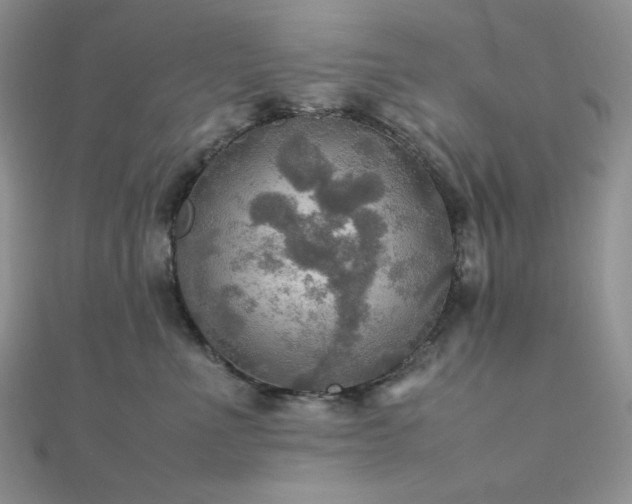 X0000112010523200908031309