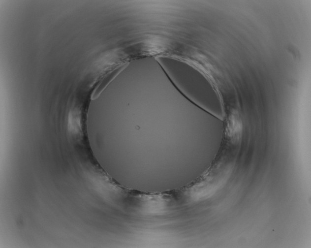 X0000112010524200908031309