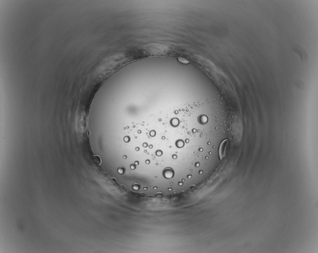 X0000112010525200908031309