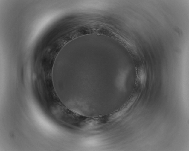 X0000112010526200908031309