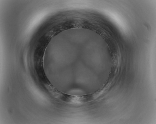 X0000112010527200908031309