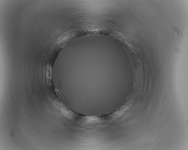 X0000112010528200908031309