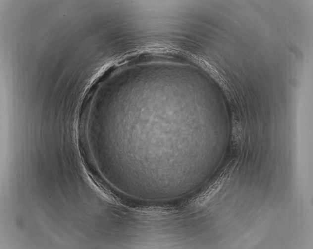 X0000112010530200908031309