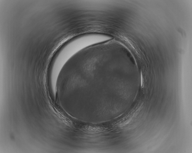 X0000112010531200908031309