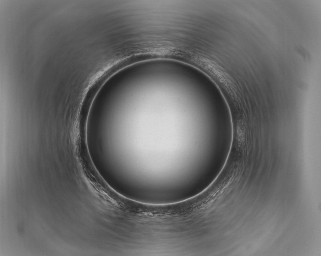 X0000112010532200908031309