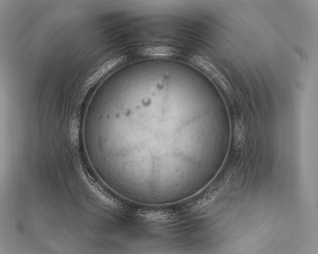 X0000112010533200908031309