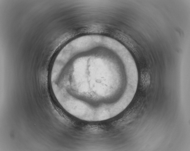 X0000112010534200908031309