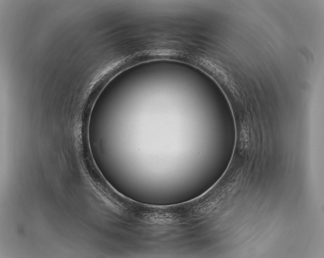 X0000112010535200908031309