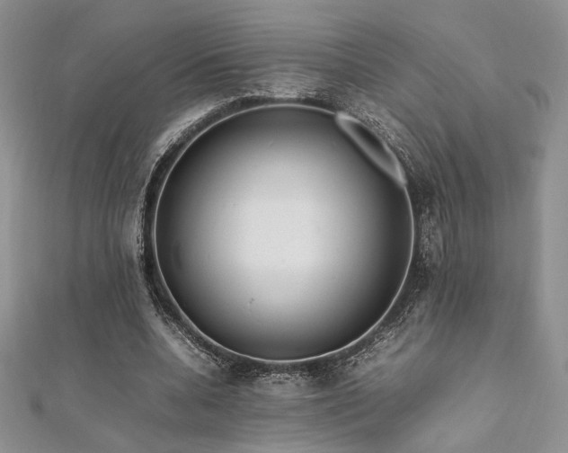 X0000112010536200908031309