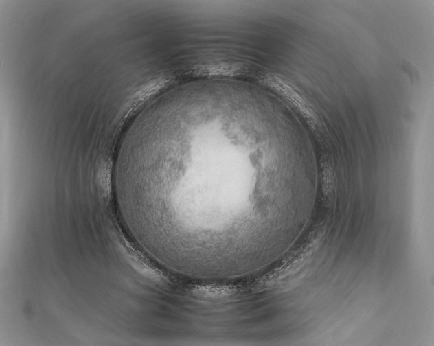 X0000112010537200908031309