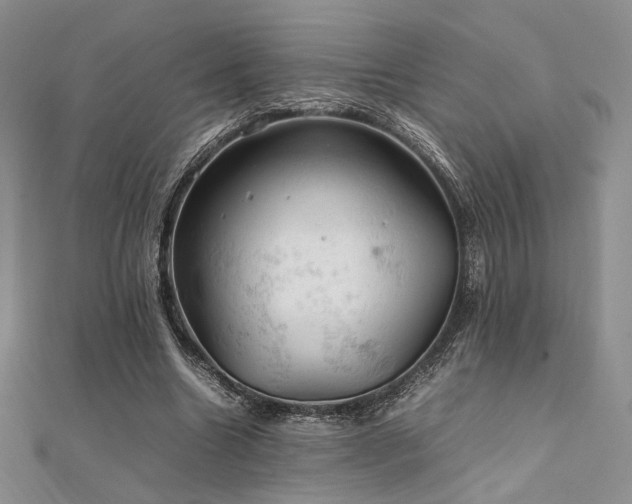 X0000112010538200908031309