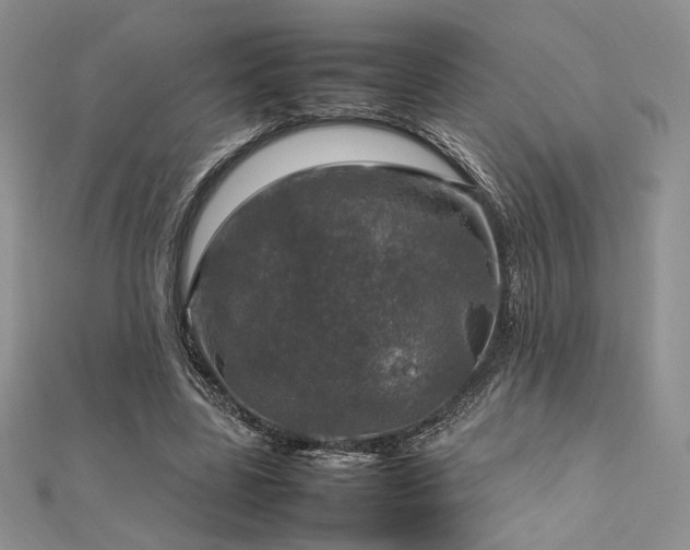 X0000112010539200908031309