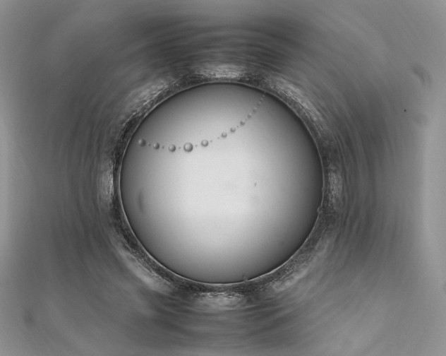 X0000112010541200908031309