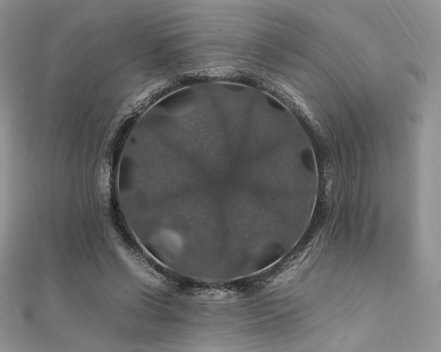 X0000112010542200908031309