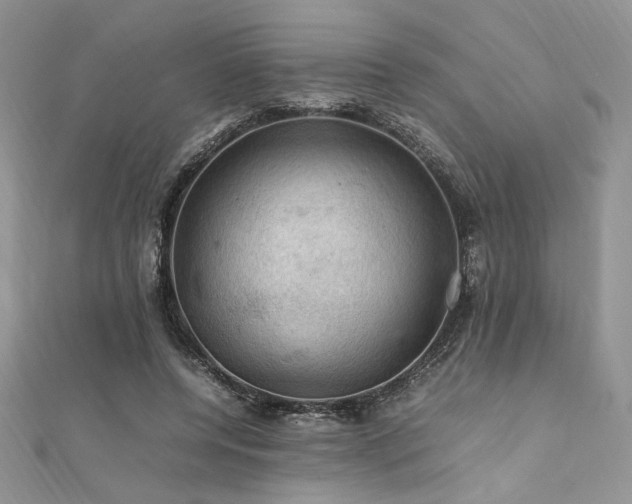 X0000112010544200908031309