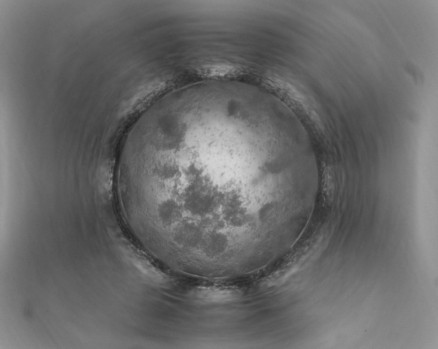 X0000112010545200908031309