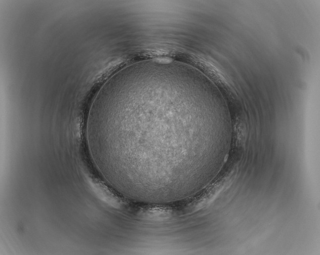 X0000112010546200908031309