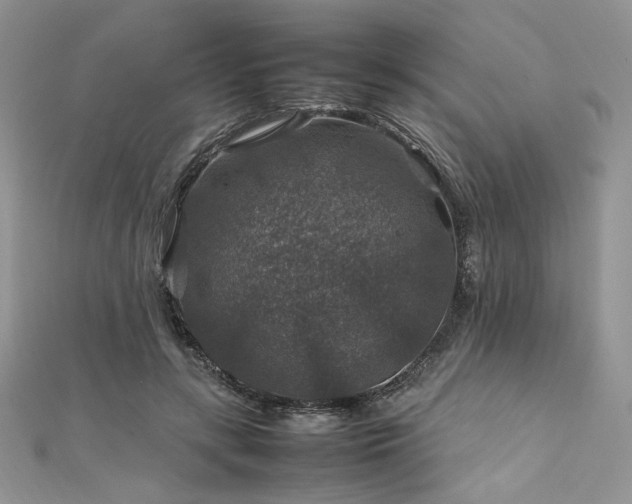 X0000112010547200908031309