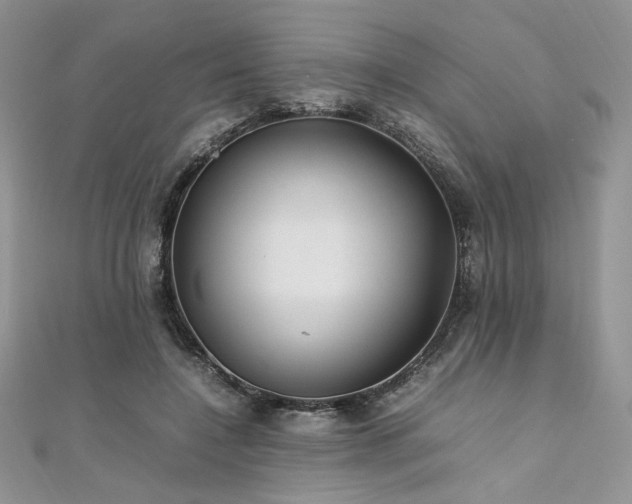 X0000112010548200908031309