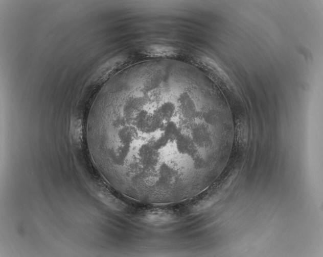 X0000112010549200908031309