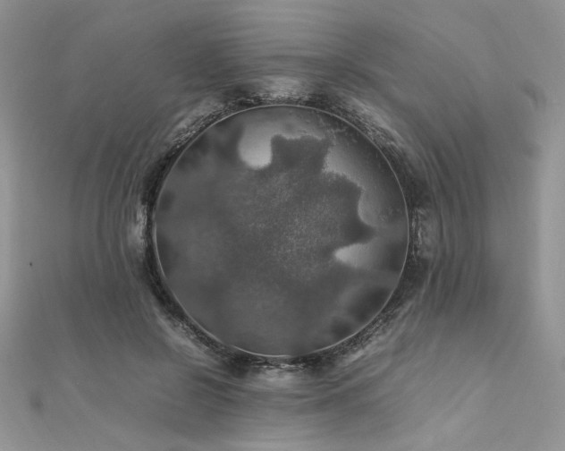 X0000112010550200908031309