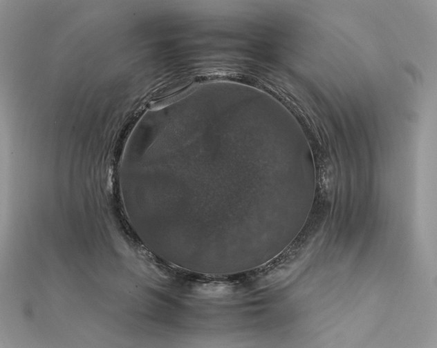 X0000112010551200908031309