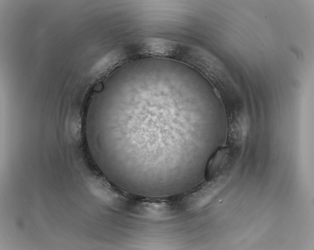 X0000112010552200908031309