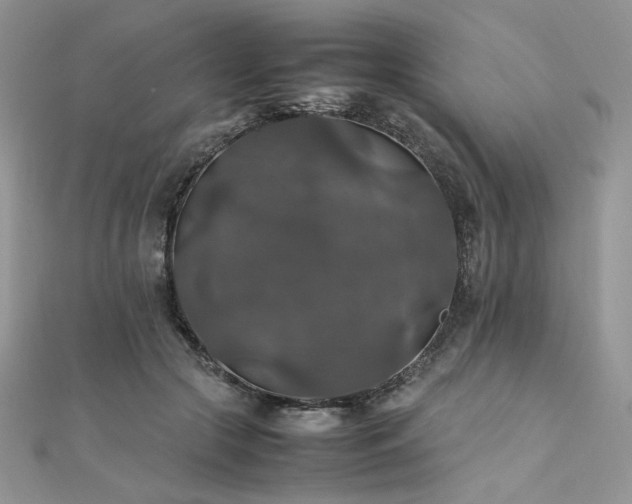 X0000112010553200908031309