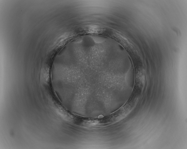 X0000112010554200908031309