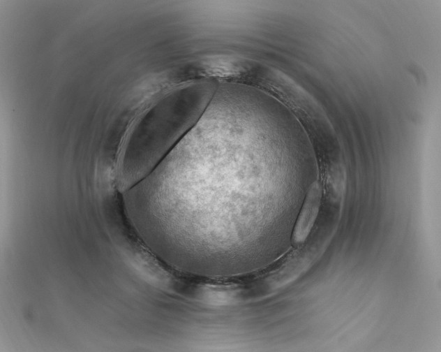 X0000112010556200908031309