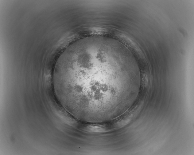 X0000112010557200908031309