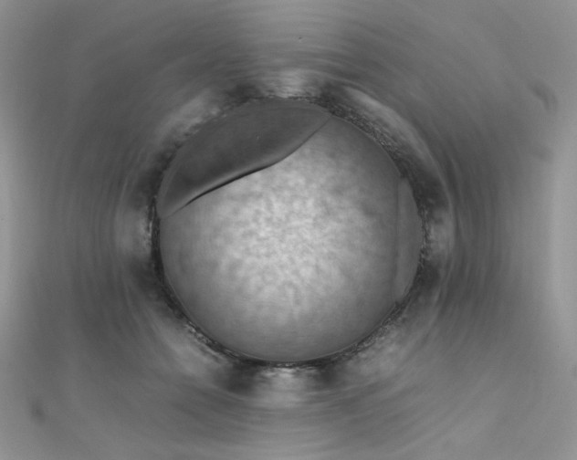 X0000112010558200908031309