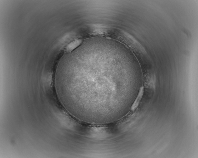 X0000112010560200908031309