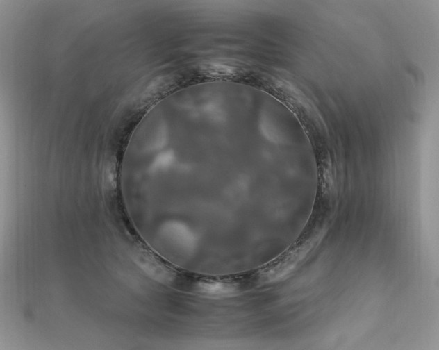 X0000112010561200908031309