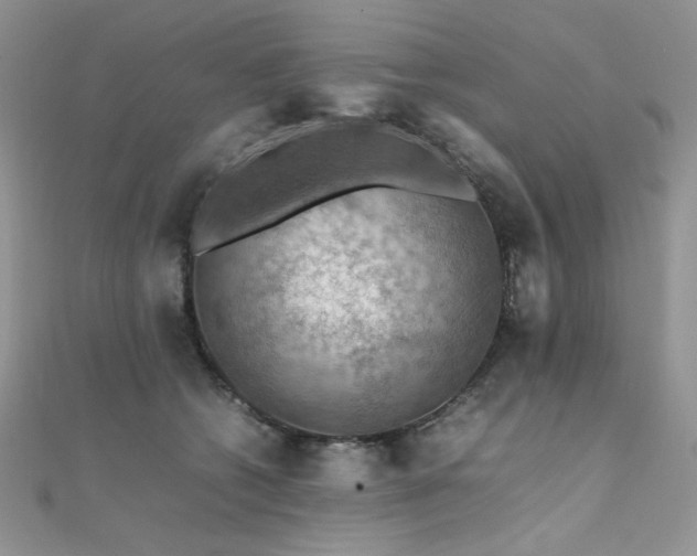 X0000112010562200908031309