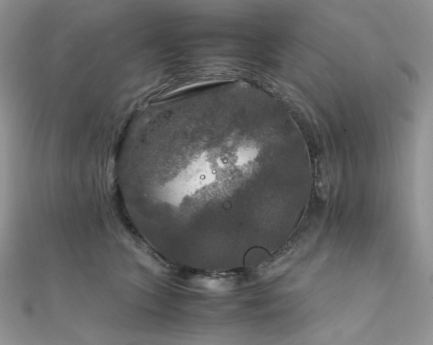 X0000112010563200908031309