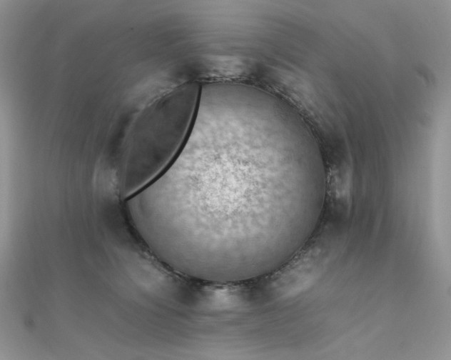 X0000112010564200908031309