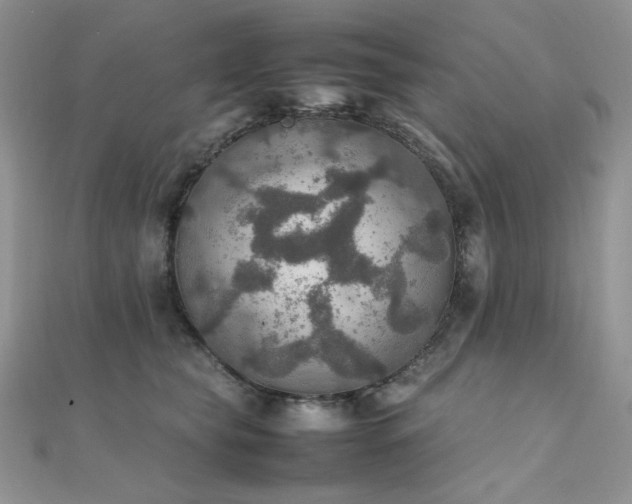 X0000112010565200908031309