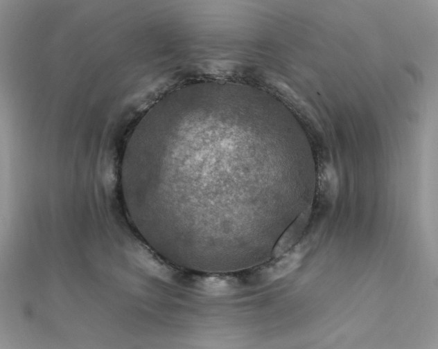 X0000112010566200908031309