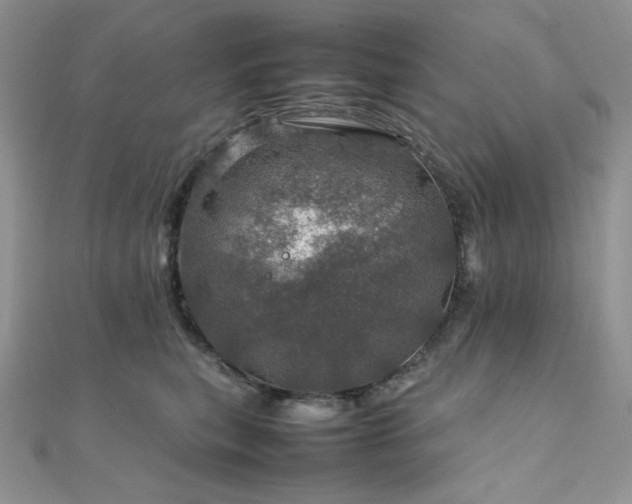 X0000112010567200908031309