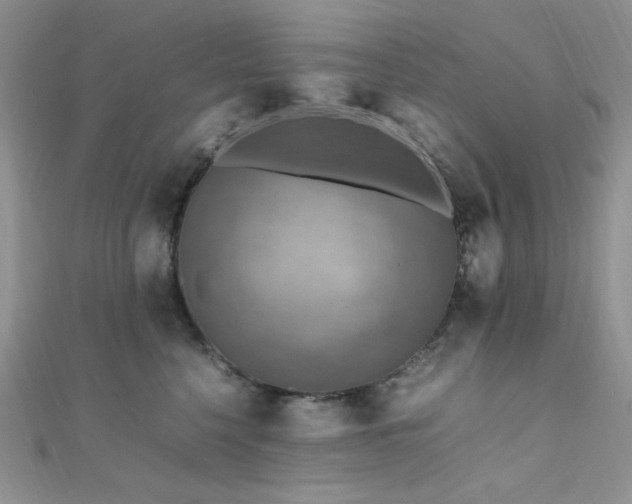 X0000112010568200908031309