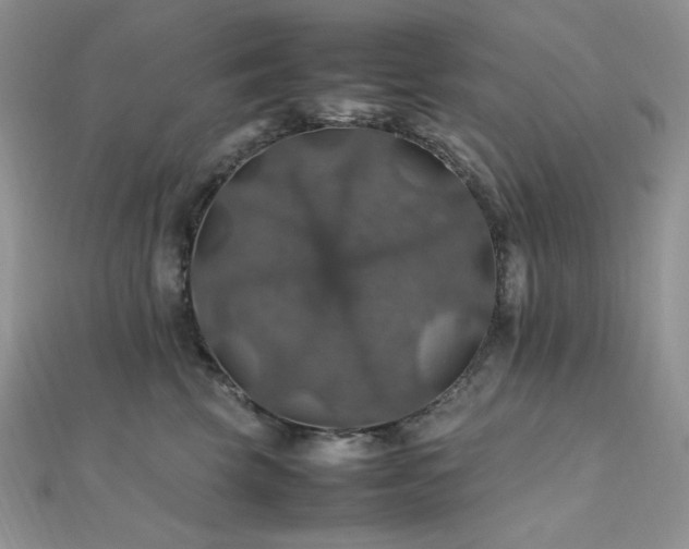 X0000112010569200908031309