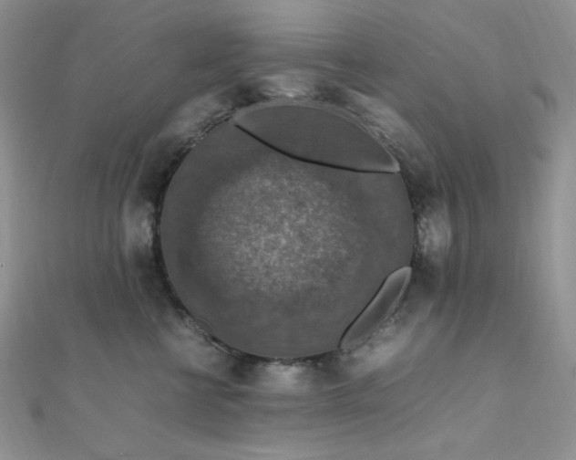 X0000112010570200908031309