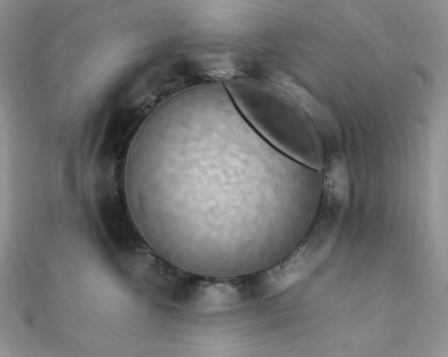 X0000112010572200908031309