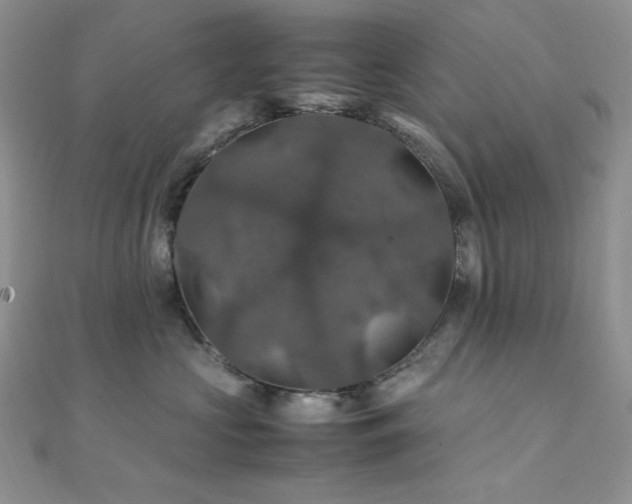 X0000112010573200908031309