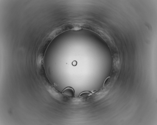 X0000112010574200908031309