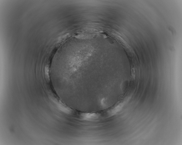 X0000112010575200908031309